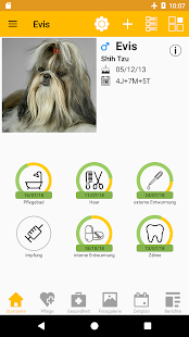 App-Vorschau