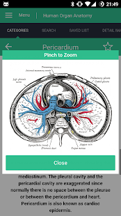Human Organs Anatomy Reference Schermata