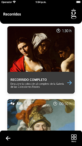 Galería de Colecciones Reales Screen 2