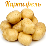 Картофель icon