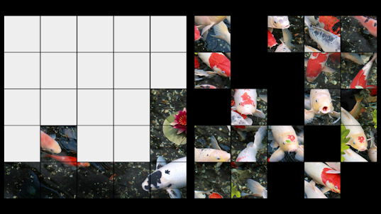 Koi Puzzle Jigsaw Puzzles