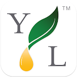 Young Living Events icon
