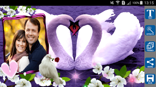 Android application Love Birds Photo Frames screenshort