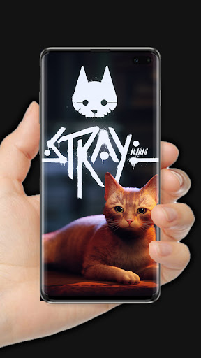 Android application Cat Fake Video Call Cat Game screenshort