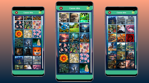 Aperçu de l'application