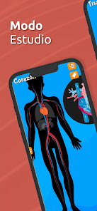 Captura de Pantalla 5 Atlas Anatomía: Cuerpo Humano android