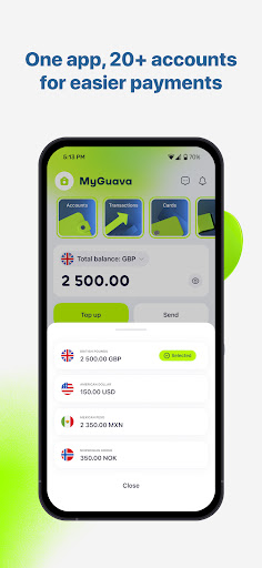 MyGuava - All Things Payments 5