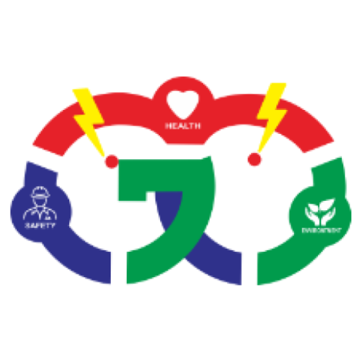 Go HSE logo
