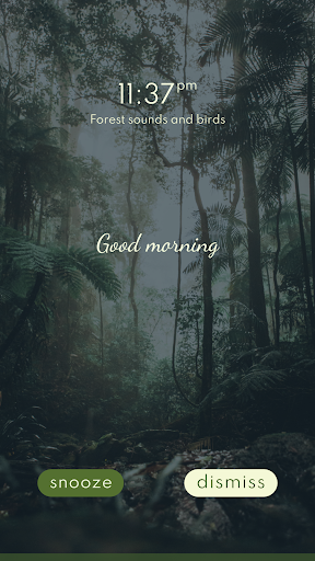 Nature sounds alarm clock Screen 2