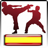 Entrenamiento de Karate icon