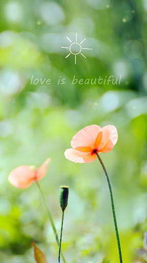Android application Spring Flower Live Wallpaper screenshort