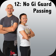 BigStrong 12, Guard Passing  Icon
