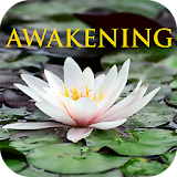 The Book of Awakening icon