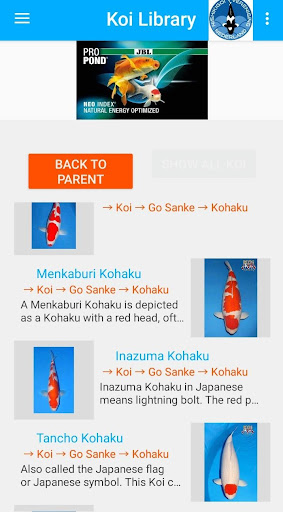 Android application N.V.N. Koi app screenshort