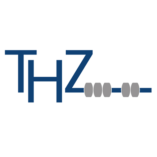 תמי הראל זלצמן רואה חשבון logo