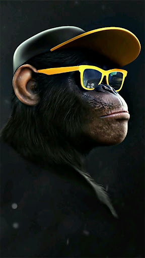 Cool Wallpapers Screen 2