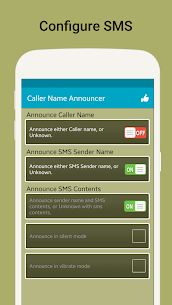 Caller Name Announcer For PC 3