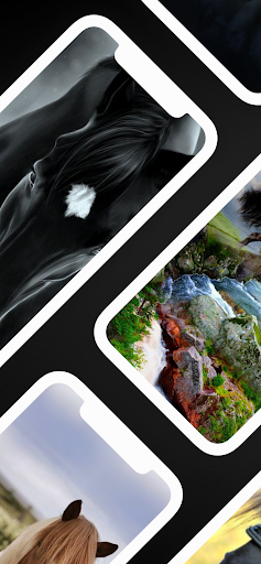 Android application Black Horse Wallpaper screenshort