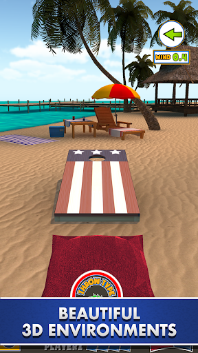 Cornhole Ultimate: 3D Bag Toss Mod2