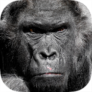 Top 48 Simulation Apps Like Real Gorilla vs Zombies - City - Best Alternatives