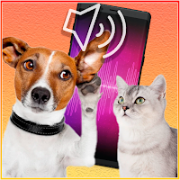 ITranslator: Собака и Кошка