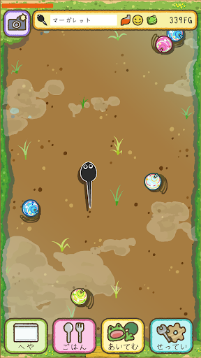 frog every day Screen 2