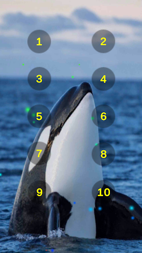 Android application Orca Whale Sounds Soundboard screenshort
