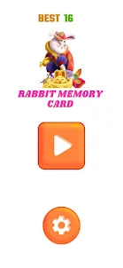 Rabbit Memory Card