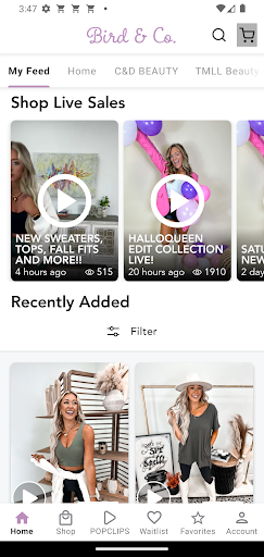 Screenshot of Bird and Co Boutique