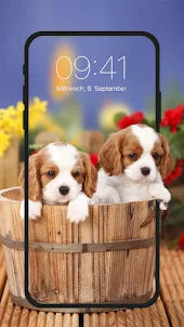 Cute Puppy Live Wallpapers HD