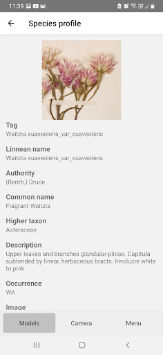 Horama ID Screen 2
