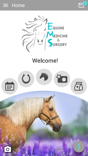 Equine Medicine and Surgery