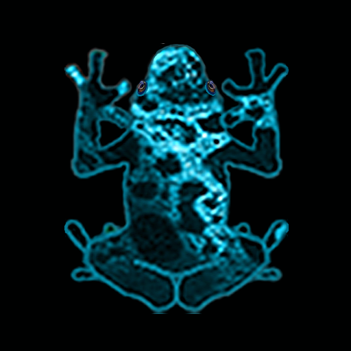Baby Frogs logo