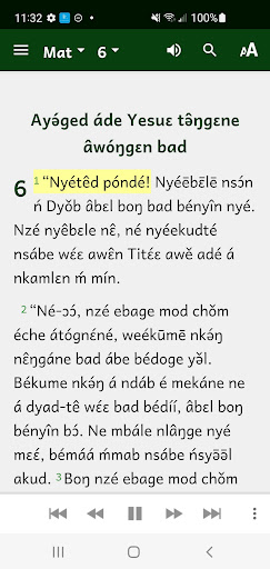Akoose Bible Screen 2
