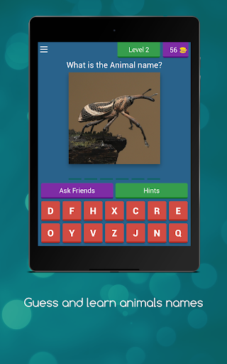Guess and Learn Animals names