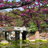 Japanese Gardens Wallpapers icon