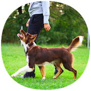 Top 20 Parenting Apps Like Dog Training Guide - Best Alternatives