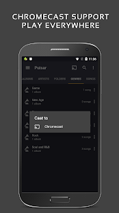 Pamja e ekranit të Pulsar Music Player Pro