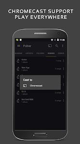 pulsar-music-player-pro-images-6