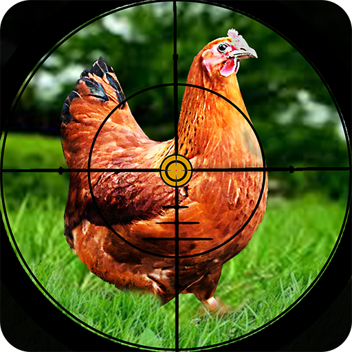 Chicken Hunting Challenge Game