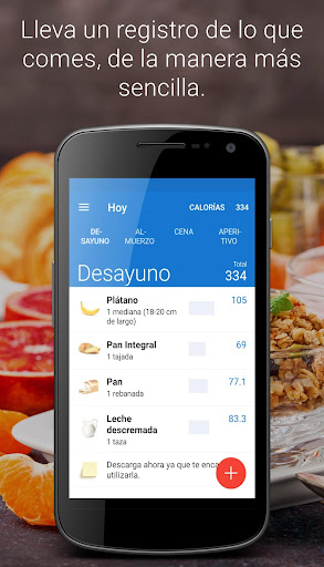 Vista previa de la aplicación