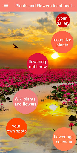 Android application Plant & Flower Identification screenshort