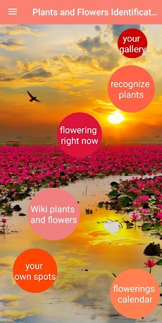 Plant & Flower Identificationのおすすめ画像1