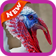 Turkey Wallpaper Laai af op Windows