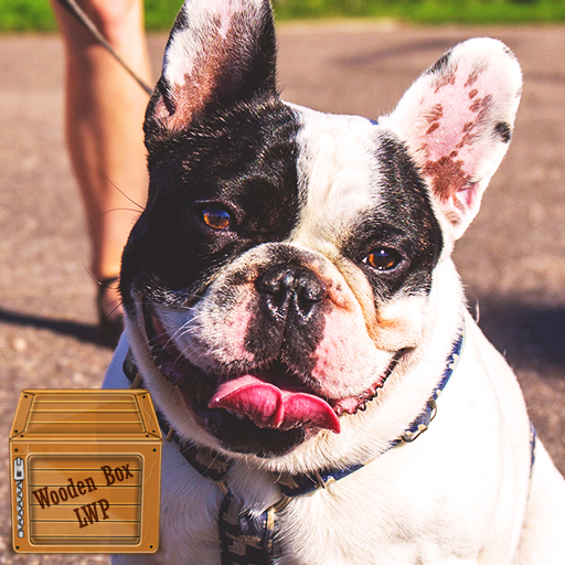 french bulldog wallpaper logo