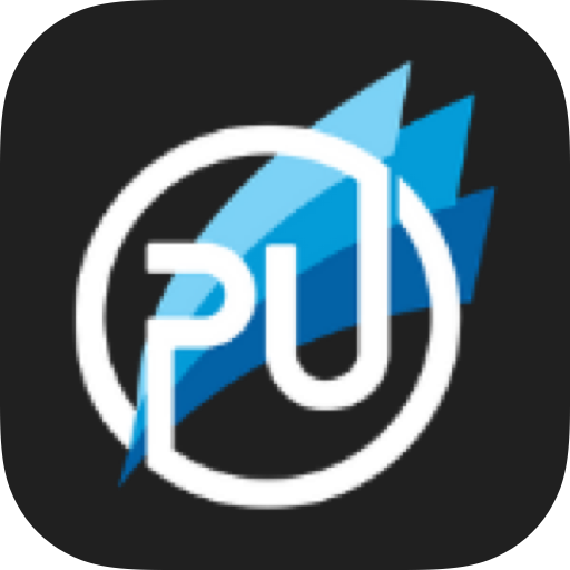 Performance Unlimited logo