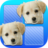 Free Memo Game Pets Photo Kids icon