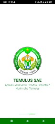 TEMULUS SAE