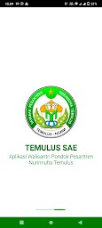 TEMULUS SAE