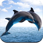 Cover Image of Tải xuống Dolphin Wallpaper  APK